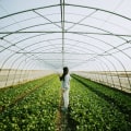 Sustainable Farming: Finding Balance for the Future