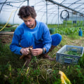 The Benefits of Crop Diversity and Sustainable Farming Practices