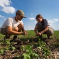 The Top 5 Environmentally Friendly Farming Practices for Sustainable Agriculture