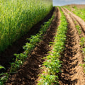 The Future of Sustainable Agriculture: Innovative Solutions for a Greener World