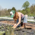 The Benefits of Sustainable Agriculture: A Farmer's Perspective