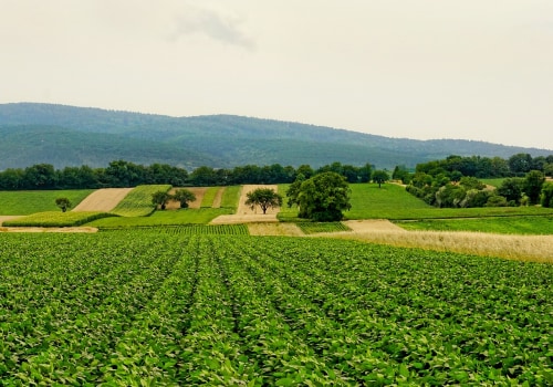 Sustainable Farming Techniques: A Comprehensive Guide