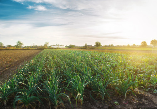 The Best Ecological Farming Practices for a Sustainable Future