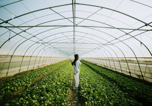 The Best Sustainable Agriculture Techniques for a Greener Future