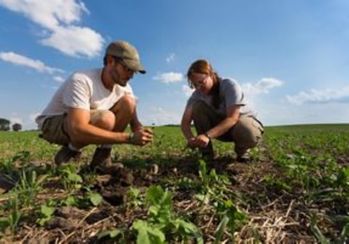 The Top 5 Environmentally Friendly Farming Practices for Sustainable Agriculture