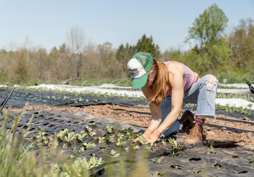 The Benefits of Sustainable Agriculture: A Farmer's Perspective