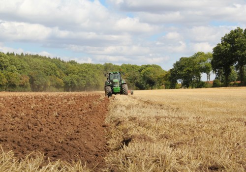 The Devastating Effects of Industrial Agriculture on the Environment